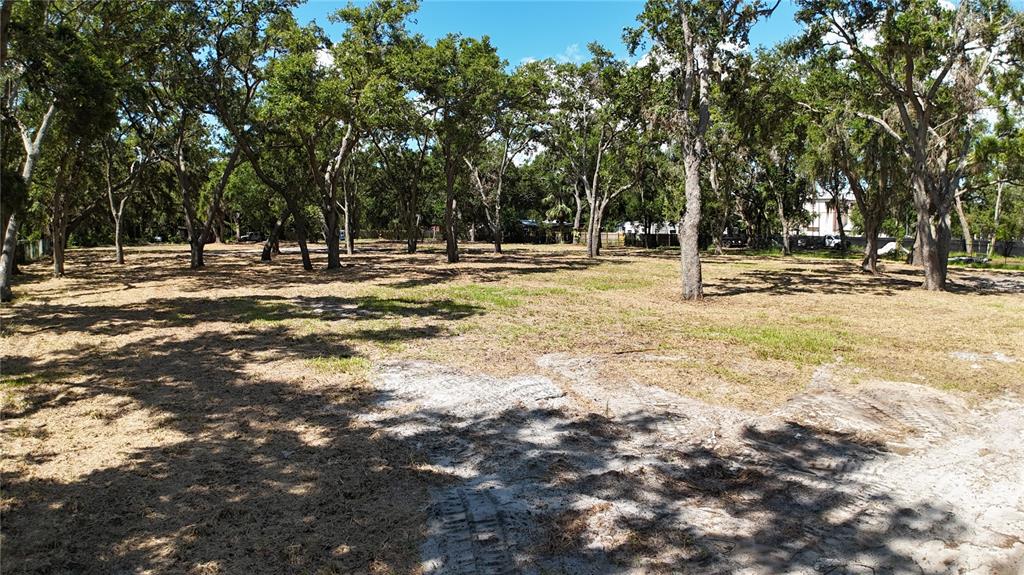 0 51st Street Sarasota, FL 34234 - Photo 18 of 20 a view of a tree in the middle of a yard