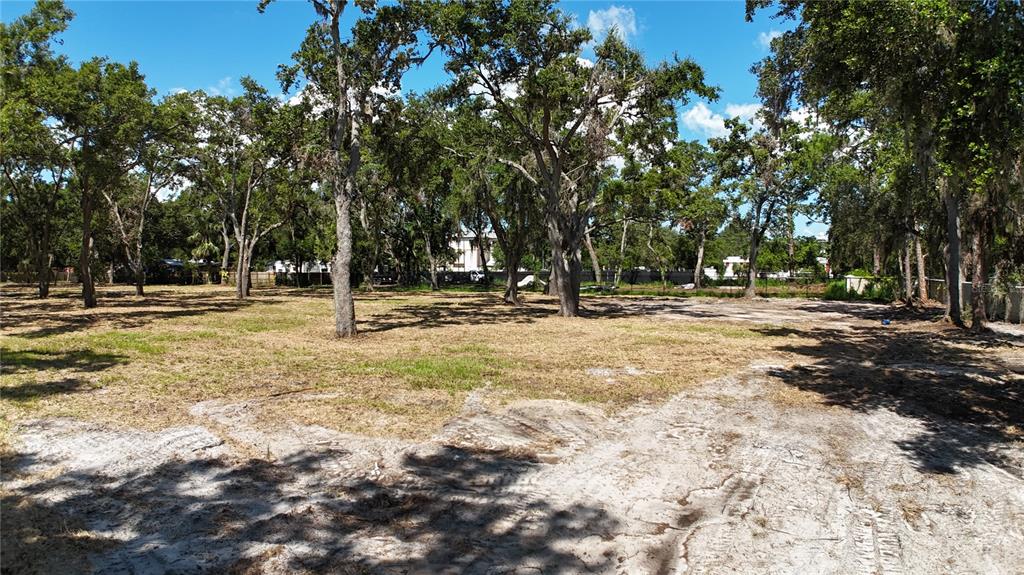 0 51st Street Sarasota, FL 34234 - Photo 19 of 20 a view of park with tree
