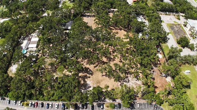 a view of a tree with a tree