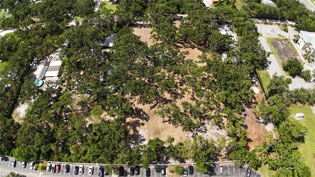 0 51st Street Sarasota, FL 34234 - Photo 2 of 20 a view of a tree with a tree