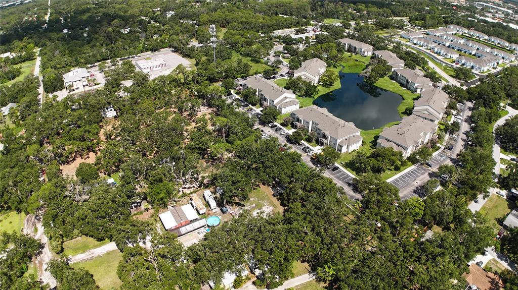 0 51st Street Sarasota, FL 34234 - Photo 3 of 20 a picture of tree