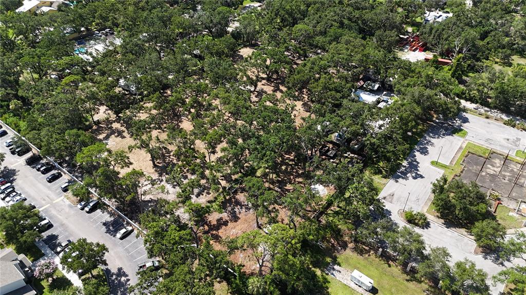 0 51st Street Sarasota, FL 34234 - Photo 6 of 20 a picture of tree