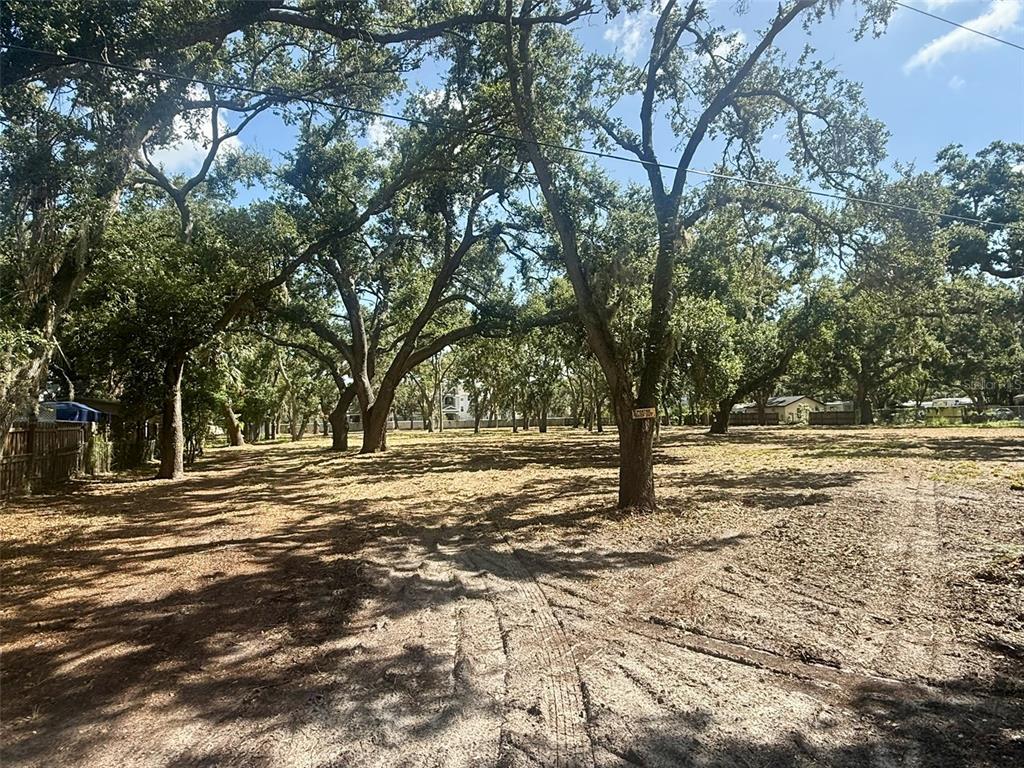 0 51st Street Sarasota, FL 34234 - Photo 9 of 20 a view of dirt yard with a trees