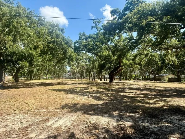 a view of a trees with a yard