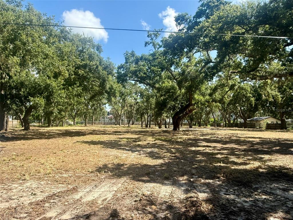 0 51st Street Sarasota, FL 34234 - Photo 10 of 20 a view of a trees with a yard