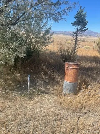 a view of a yard in a yard