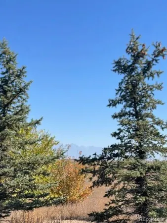 a view of a tree in a field