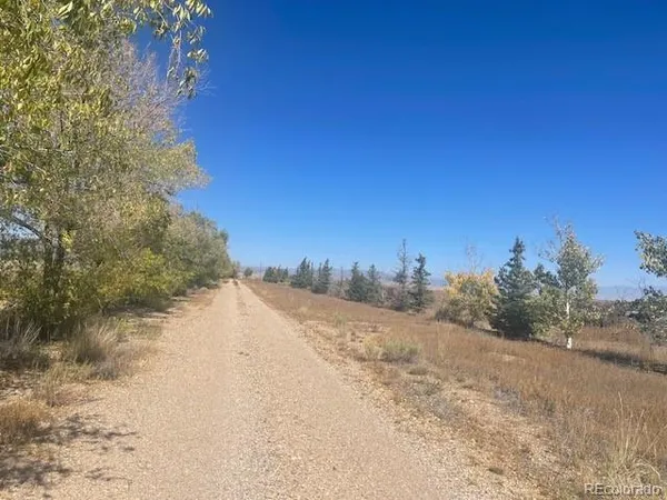 a view of a dry yard with trees in the background