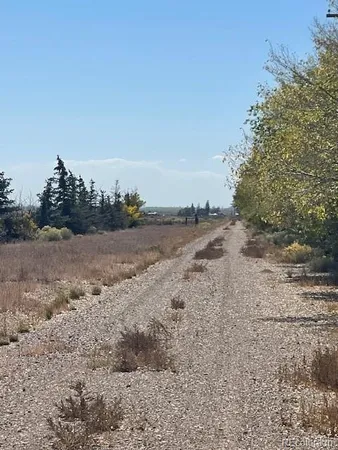 a view of dirt and trees