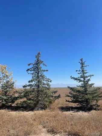 a view of a dry space with a mountain in the background
