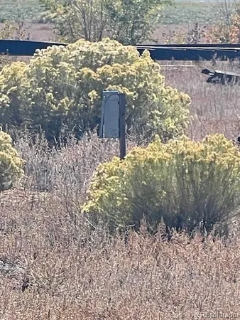 a view of a backyard of the house