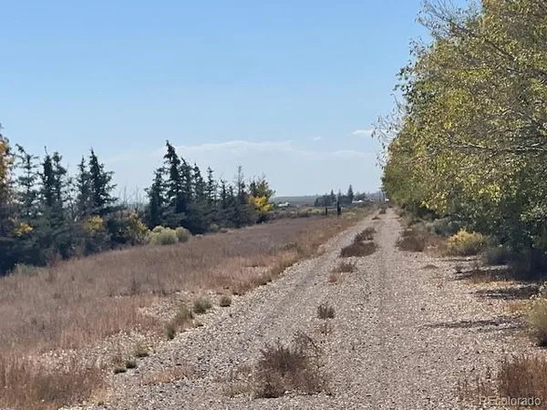 a view of a dirt road with trees in the background