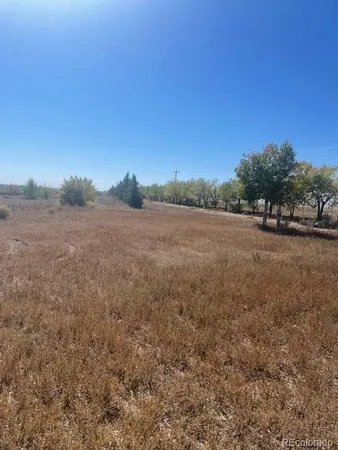 a view of a field with trees in background