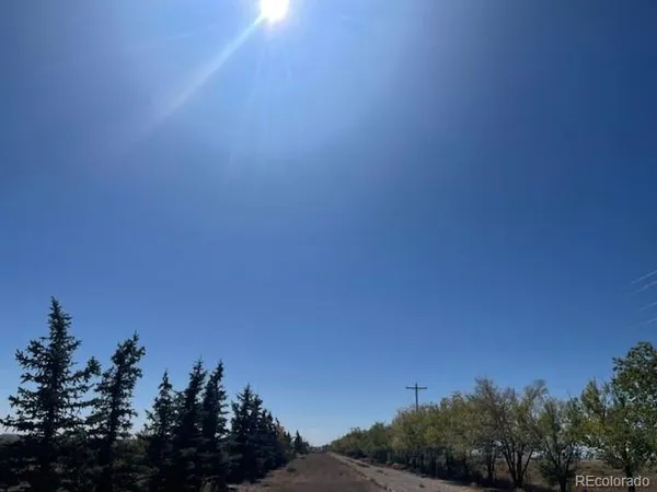 a view of a field with trees in the background