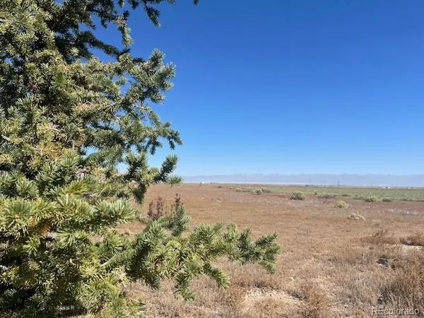 a view of beach and ocean