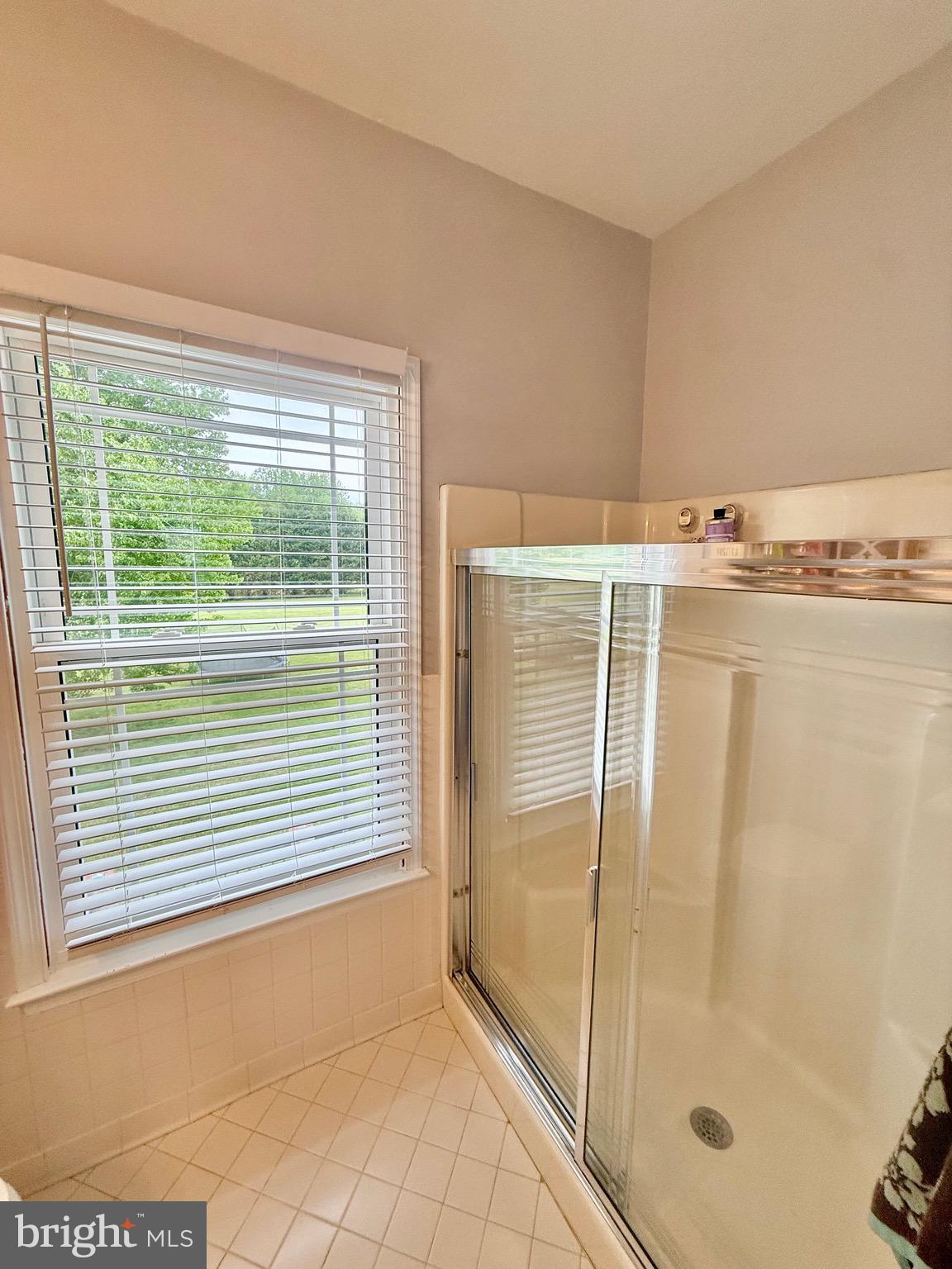 75 West Bay Front Road Lothian, MD 20711 - Photo 45 of 89 Owner's Suite Shower