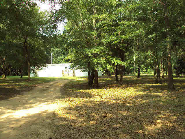 18441 Harry Jones Road North Summerdale, AL 36580 - Photo 1 of 1