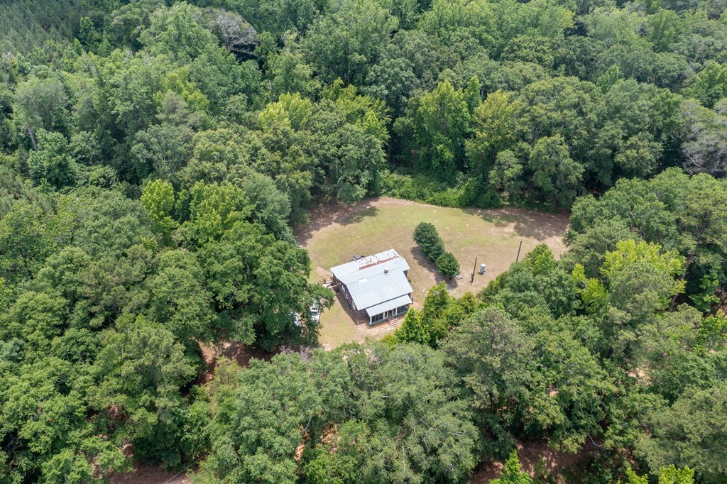3 Comers Pond Road Pittsview, AL 36871 - Photo 48 of 51