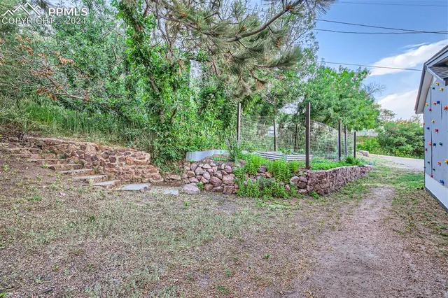 a view of a garden with plants and large trees