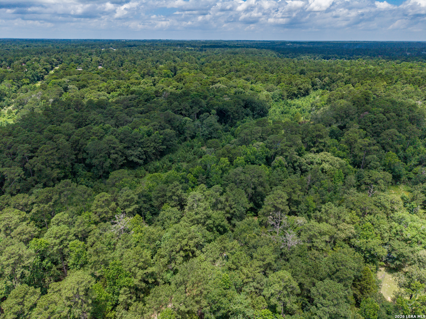 0 Zapata Way Willis, TX 77378 - Photo 14 of 40