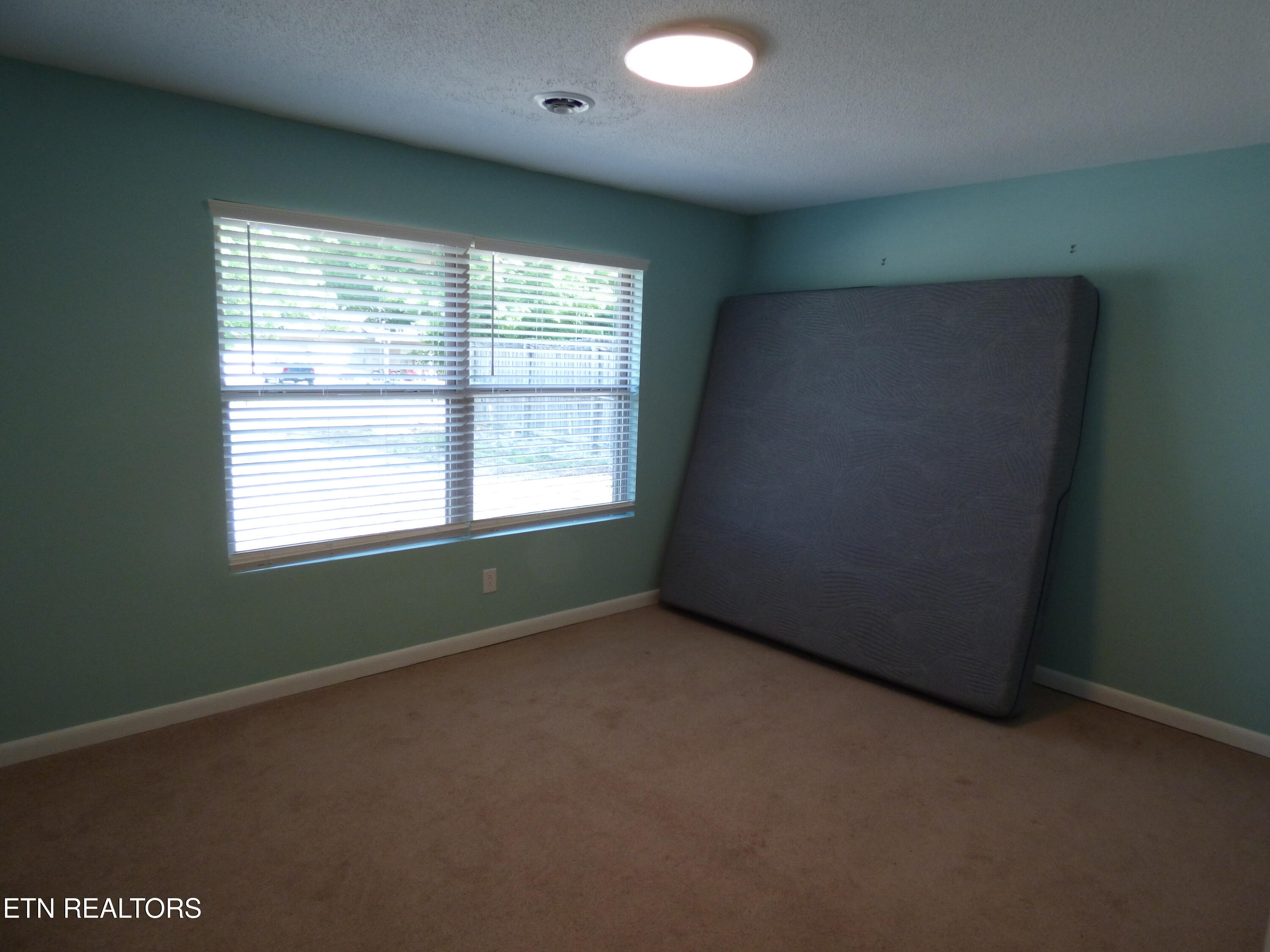 153 Travis Drive Spring City, TN 37381 - Photo 17 of 45 P1080901