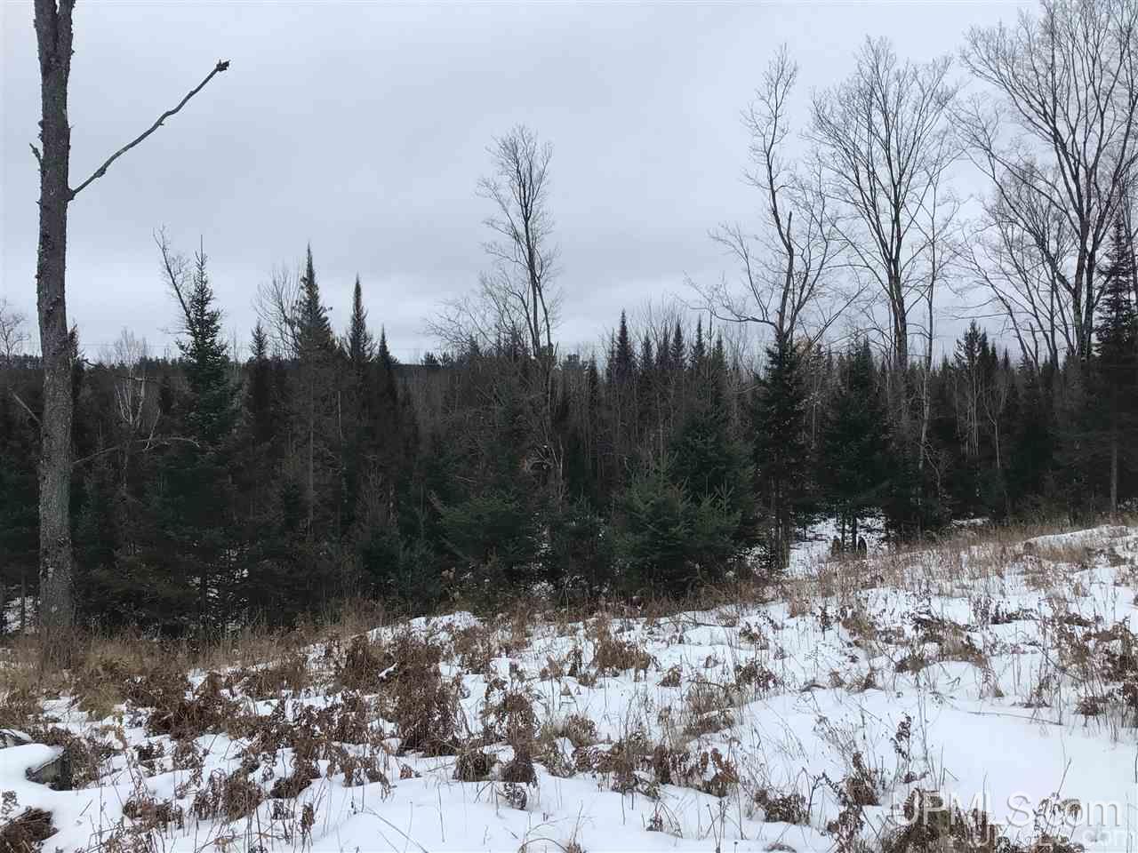 Tbd Swamp Road Powers, MI 49874 - Photo 9 of 30