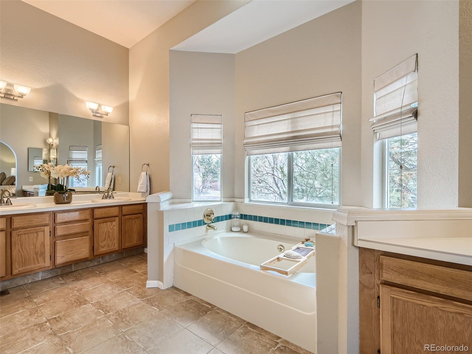 9724 Chanteclair Circle Highlands Ranch, CO 80126 - Photo 19 of 28 a bathroom with a granite countertop tub sink and mirror