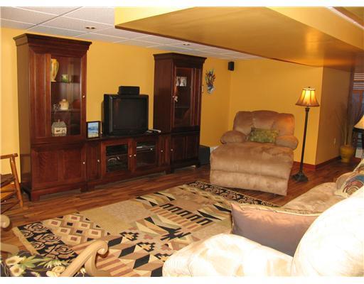 547 Justabout Road Venetia, PA 15367 - Photo 16 of 21 Other. LOWER LEVEL GAMEROOM