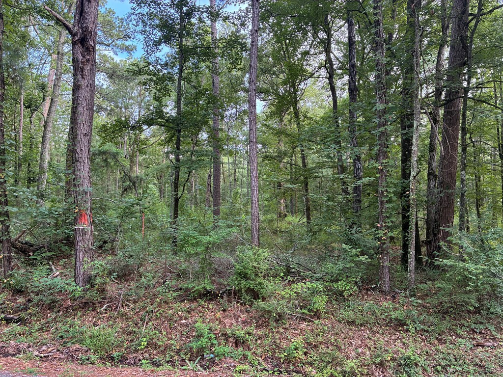 3352 A Mound Road Northeast Wesson, MS 39191 - Photo 3 of 10 Photo 3