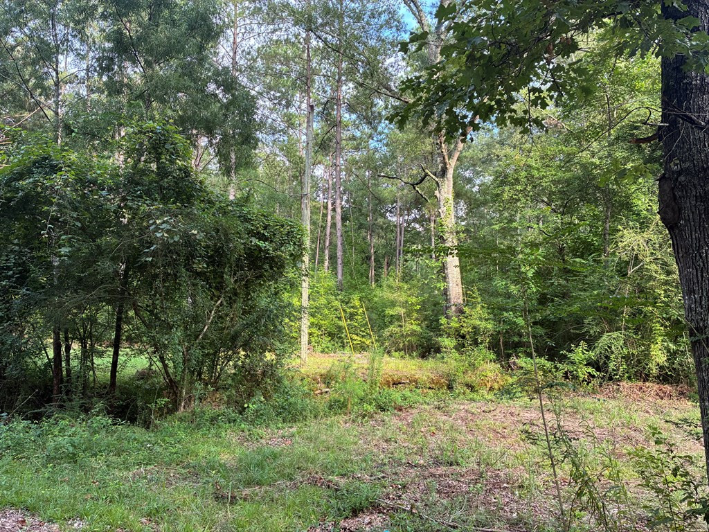 3352 A Mound Road Northeast Wesson, MS 39191 - Photo 5 of 10 Photo 5