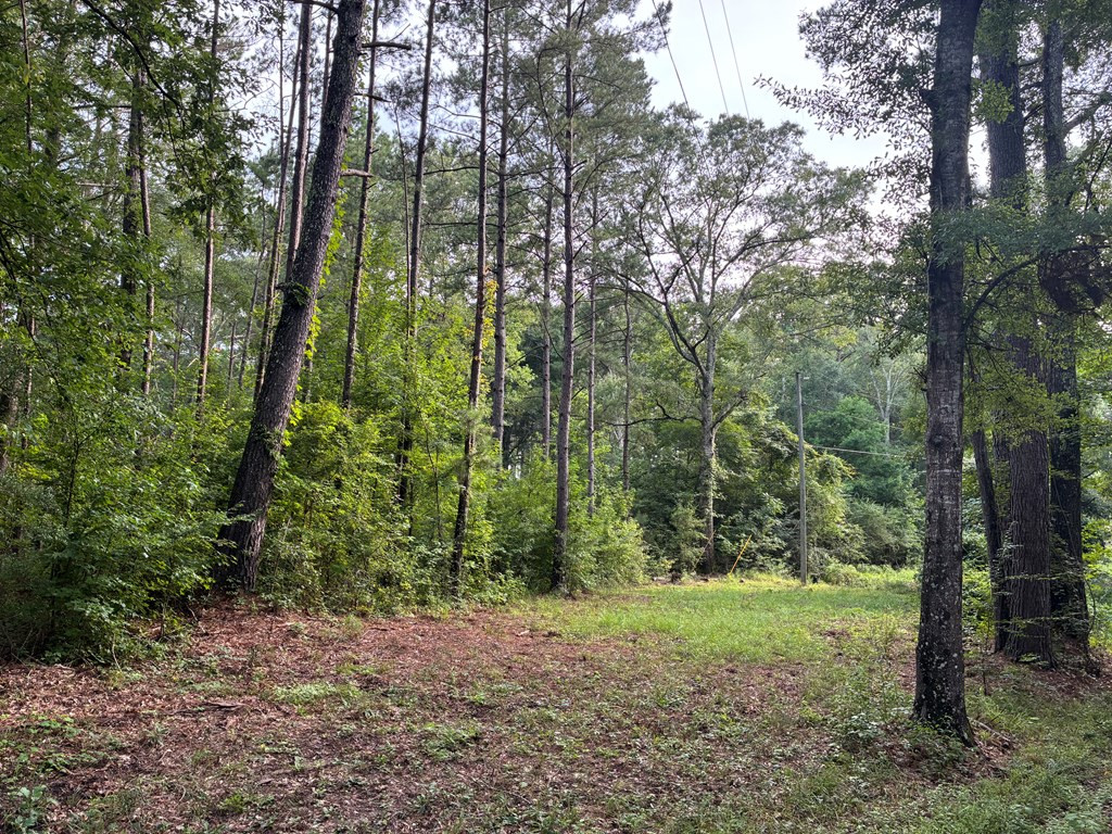 3352 A Mound Road Northeast Wesson, MS 39191 - Photo 6 of 10 Photo 6