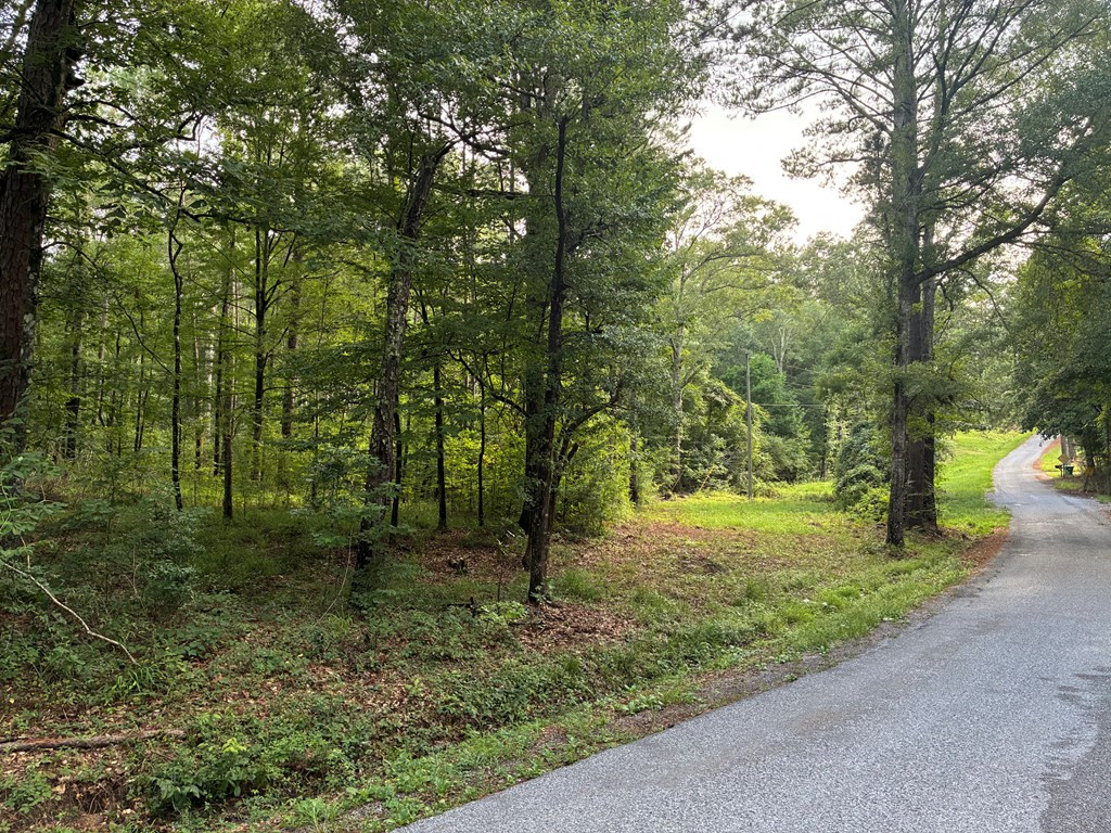 3352 A Mound Road Northeast Wesson, MS 39191 - Photo 7 of 10 Photo 7