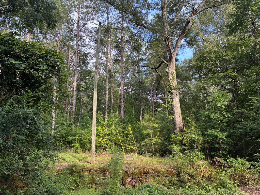 3352 A Mound Road Northeast Wesson, MS 39191 - Photo 8 of 10 Photo 8