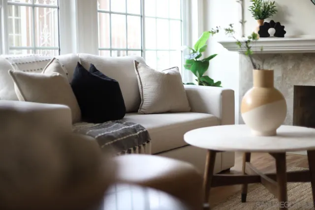 a living room with furniture and a potted plant
