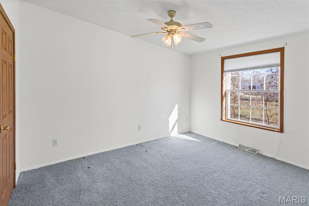 1014 East Water Street Litchfield, IL 62056 - Photo 35 of 41