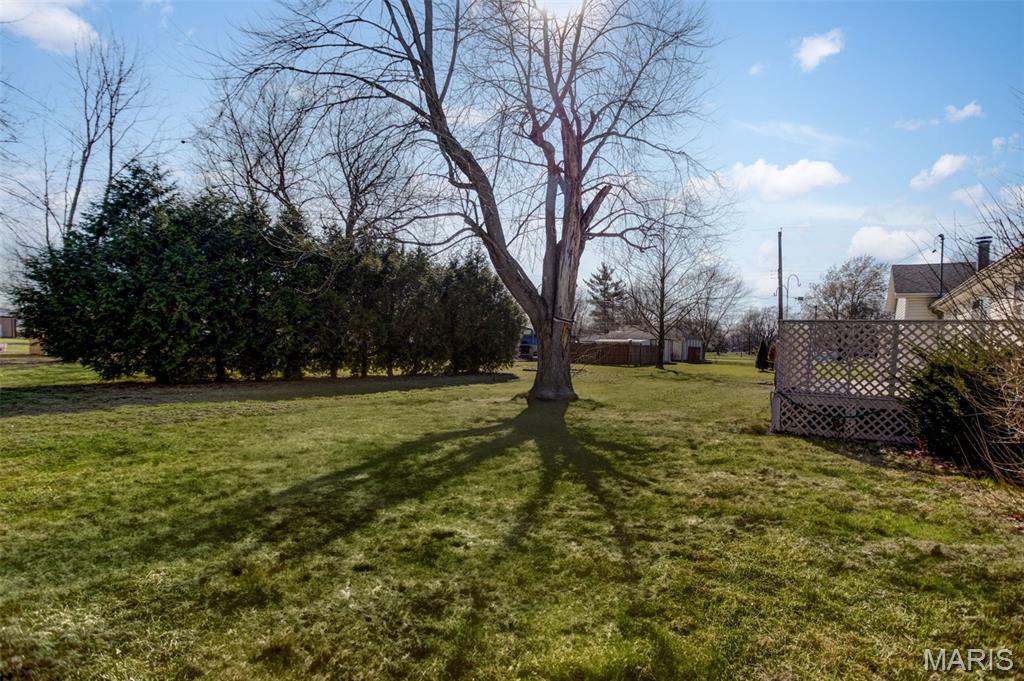 1014 East Water Street Litchfield, IL 62056 - Photo 5 of 41