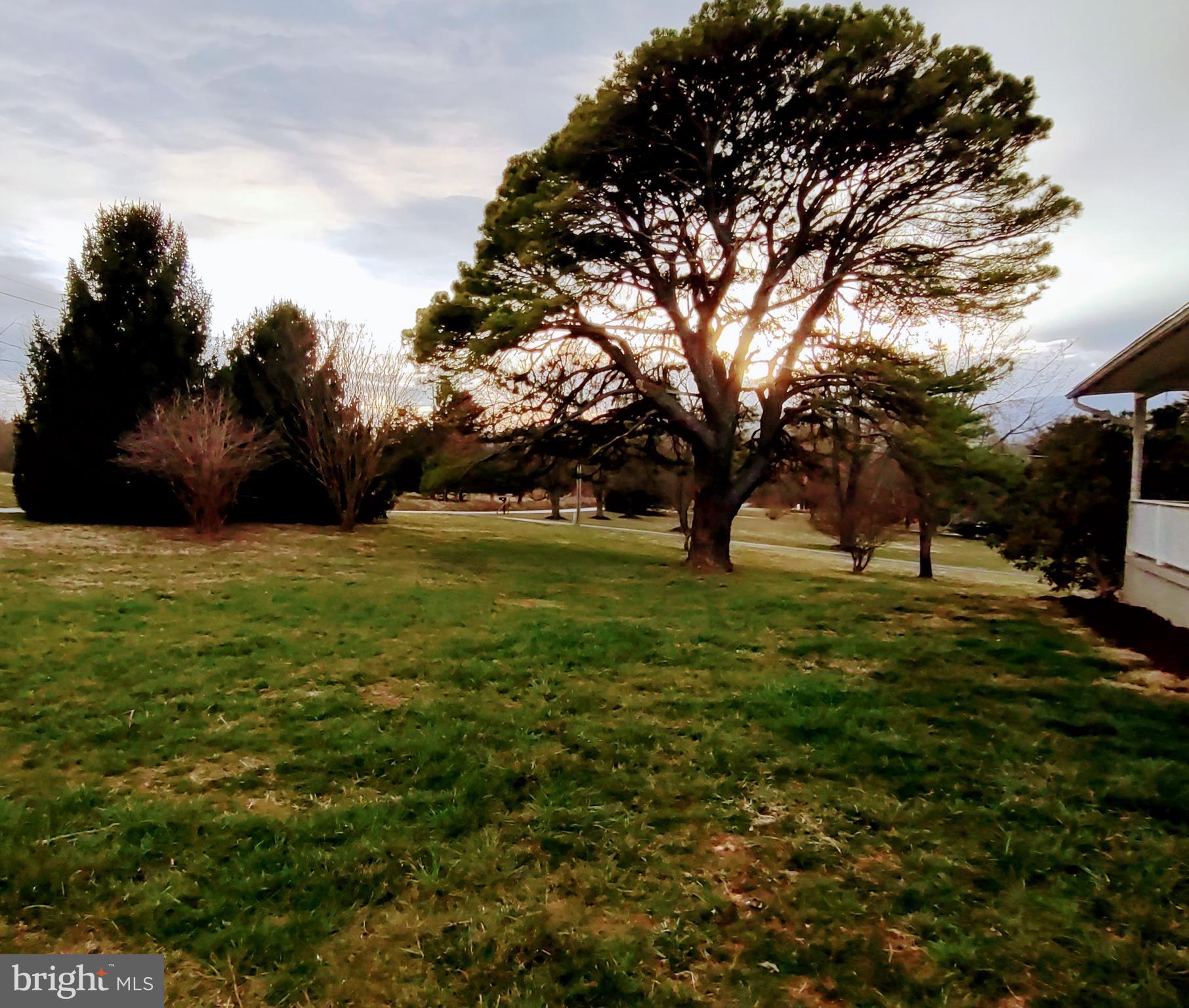 86 Poplar Road Front Royal, VA 22630 - Photo 8 of 39 Front Yard