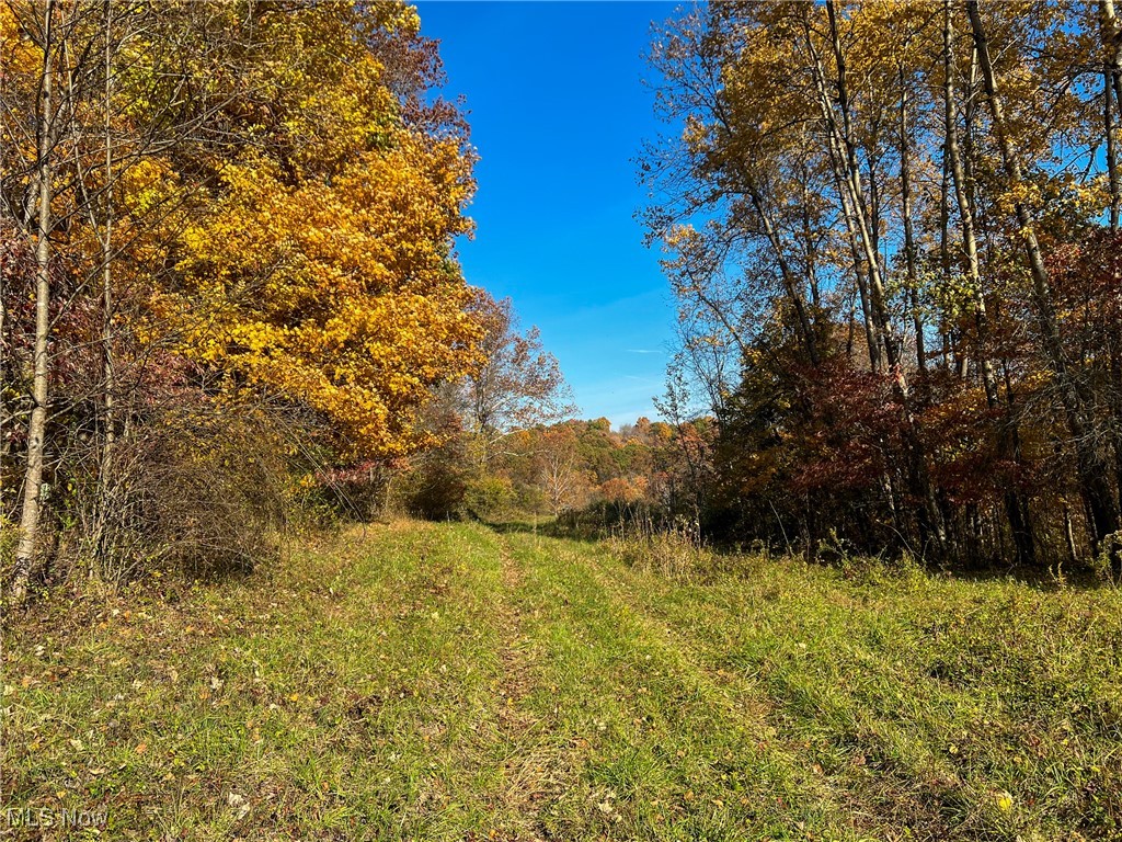 0 Roberts Road Amesville, OH 45711 - Photo 27 of 39 View of local wilderness