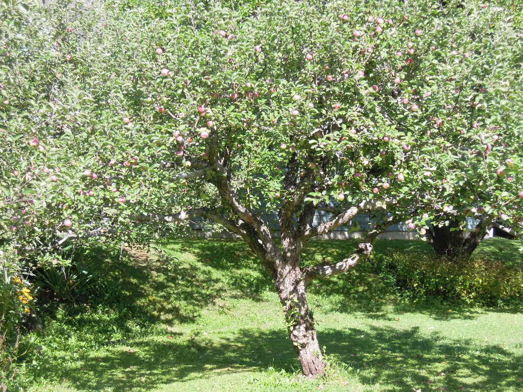 136 State Road Presque Isle, ME 04769 - Photo 55 of 74 136 State Road Presque Isle (74)