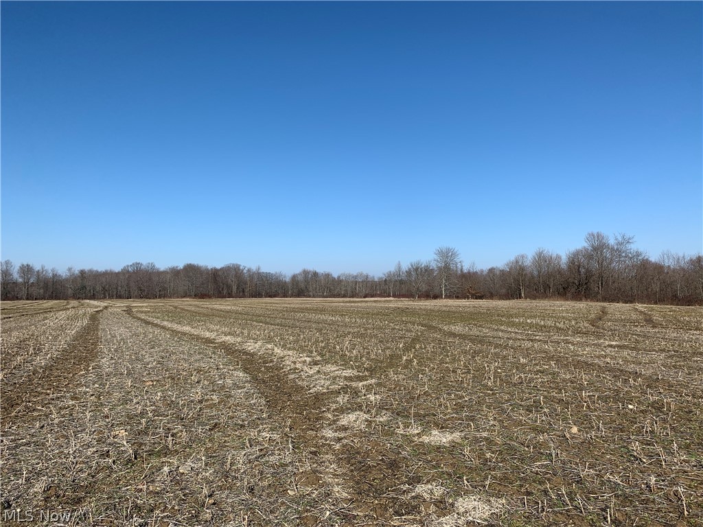 Brown Road Jefferson, OH 44047 - Photo 6 of 31 Gallery Image 6