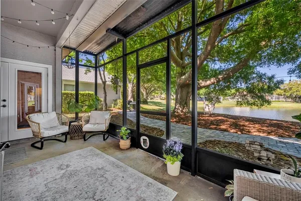a view of a yard with plants and trees