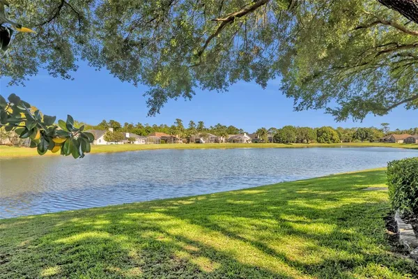 a view of a lake with houses in the background