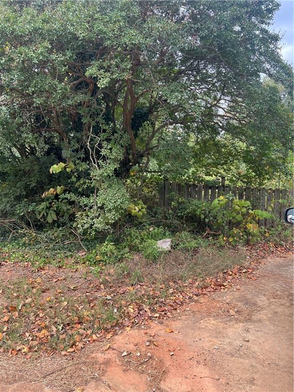 4408 Redan Road Stone Mountain, GA 30083 - Photo 3 of 6 a view of a yard with a tree