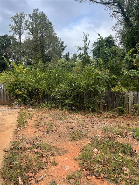 4408 Redan Road Stone Mountain, GA 30083 - Photo 4 of 6 a view of a yard with plants and trees