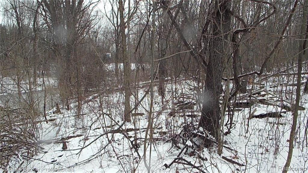 Eight West Eight Mile Road South Lyon, MI 48178 - Photo 45 of 58
