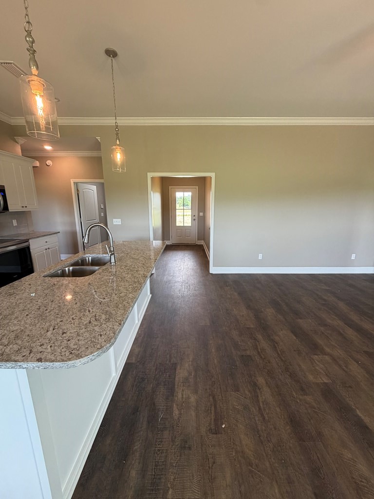 256 Enterprise Church Road Ashford, AL 36312 - Photo 12 of 28