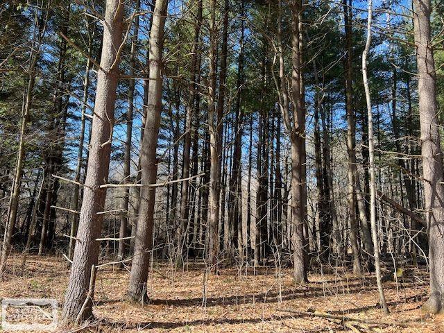 0 Burton Road Capac, MI 48014 - Photo 7 of 10