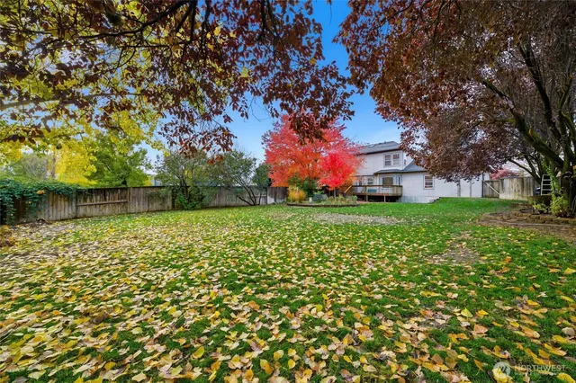 a view of a trees with a big yard
