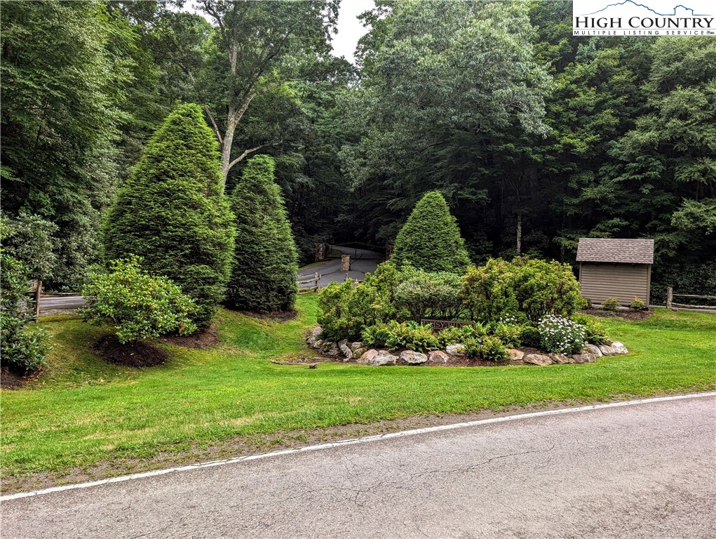 a view of a garden with plants and a bench