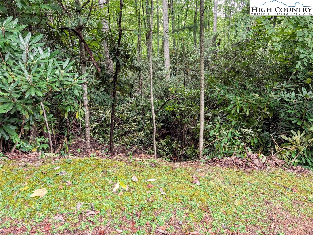 Daisy Ridge Road, Unit 1 2) Banner Elk, NC 28604 - Photo 3 of 6 a view of yellow and trees